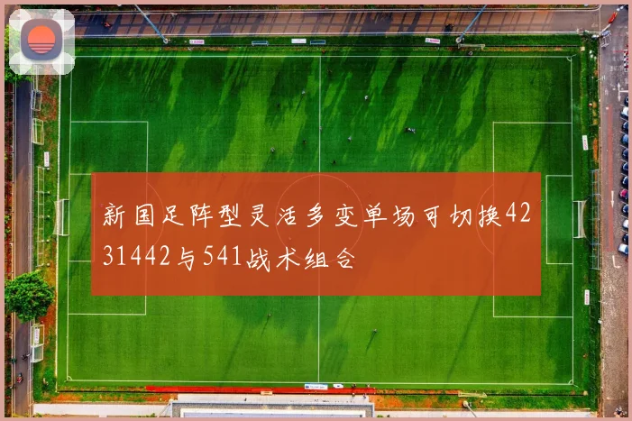新国足阵型灵活多变单场可切换4231442与541战术组合